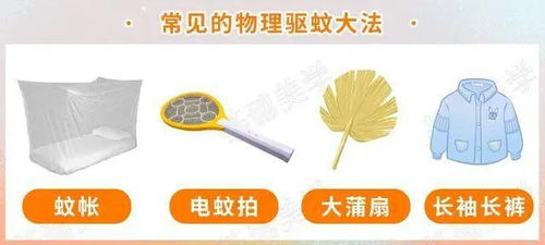 蚊子為何獨寵你？牙膏的妙用與防蚊科學(xué)