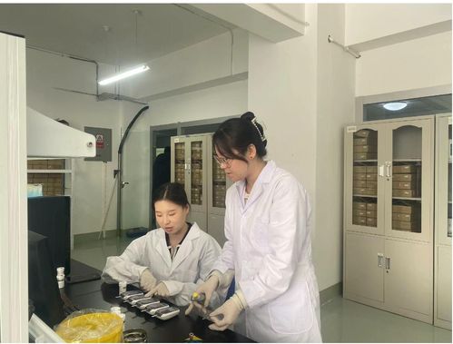 小巨人蘊含大能量 恒升醫(yī)學以科技創(chuàng)新賦能生物醫(yī)療產(chǎn)業(yè)高質(zhì)量發(fā)展