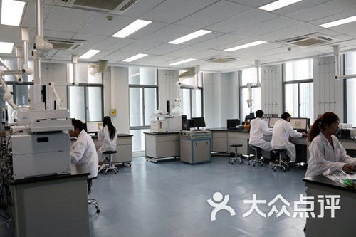 武漢市政科技信息研發(fā)中心生物科技培訓(xùn)課程 價格、簡介與學(xué)習(xí)體驗(yàn)全解析